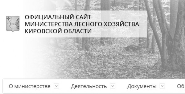 ​Элементарный порядок в лесной отрасли спасен: Министерство лесного хозяйства нашло 500 рублей, чтобы продлить хостинг