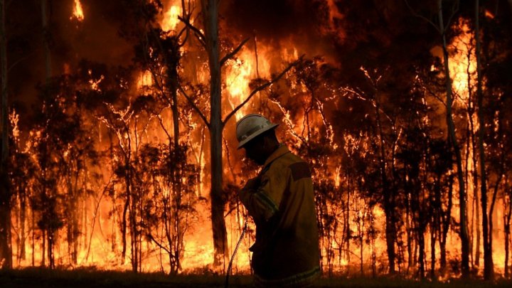 Лесные пожары продолжают бушевать в Португалии и Испании, в Калифорнии - отступают