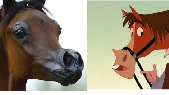 В США вывели лошадь, как в мультике Disney