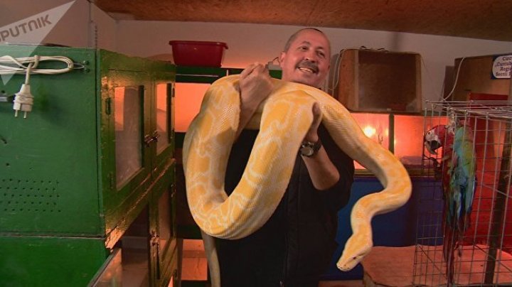 Бывший змеелов Павел Секрий организовал домашний зоопарк в Унгенах