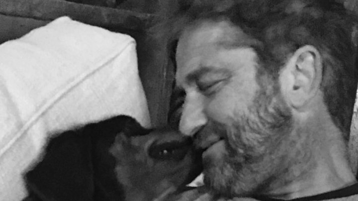Джерард Батлер приютил бездомную собаку, которую увидел на съёмках в Болгарии