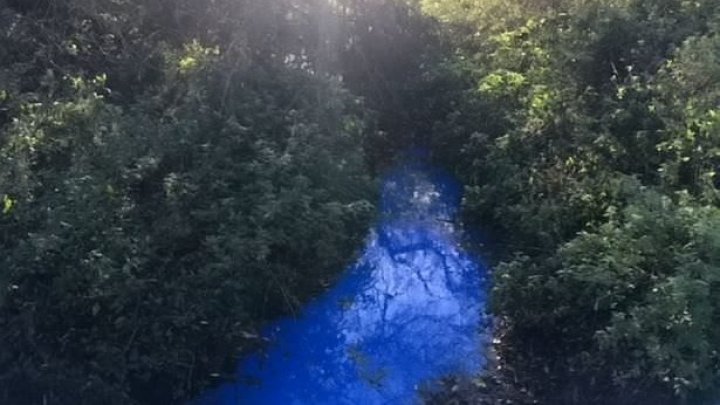 Учёные выяснили причины изменения цвета реки с зелёного на синий