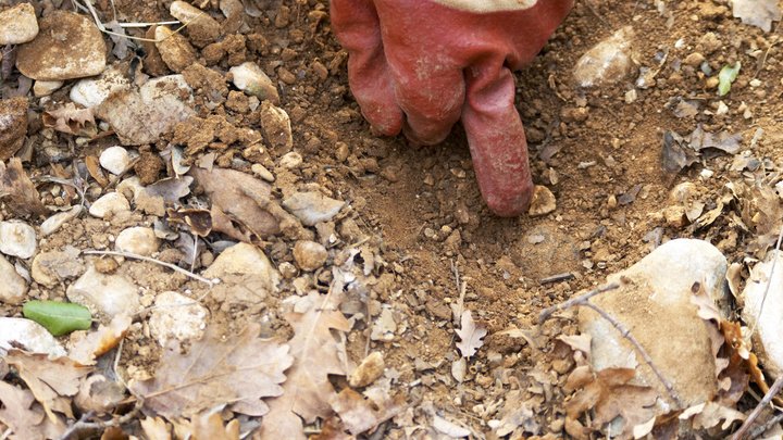 Британский студент нашел в могиле клад VII века