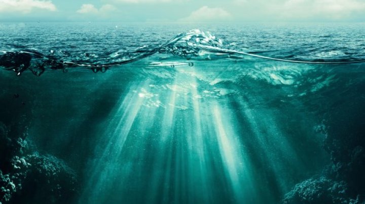 Ученые: в океане становится нечем дышать