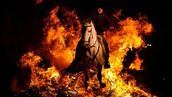 Кони в огне: в Испании прошла ночь Святого Антония