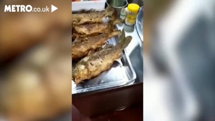 Видео с двигающейся после обжарки рыбой ужаснуло пользователей Сети