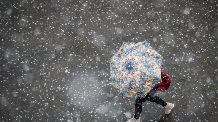 Синоптики объяснили связь между снегом в Сахаре и теплой зимой в России