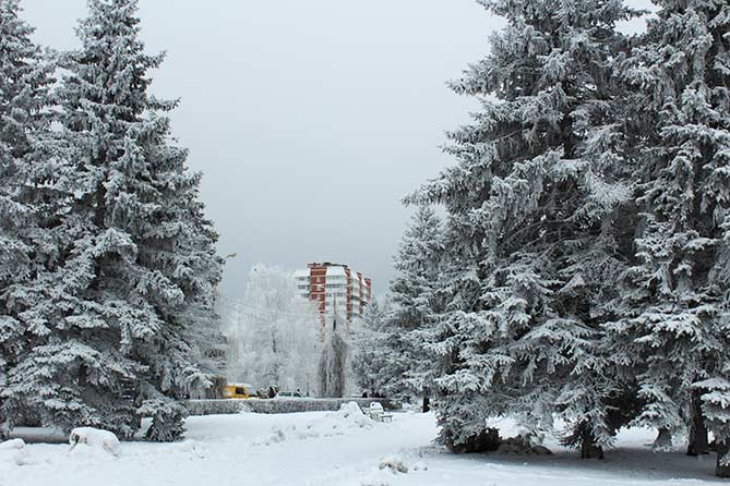 Погода в Тольятти с 22 по 25 января 2018 года