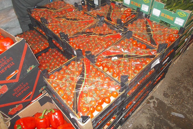 Выявлено 240 килограммов томатов