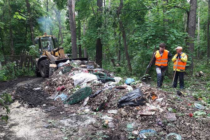 Почти миллион рублей на очистку леса от мусора в 2018 году