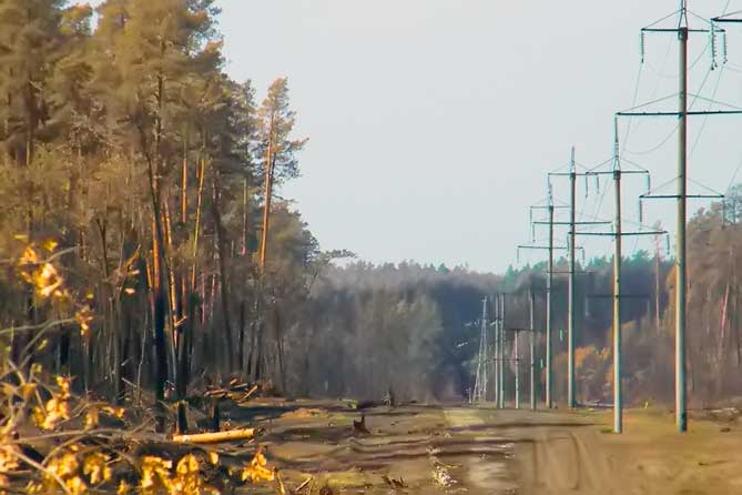 тольяттинский лес дорога