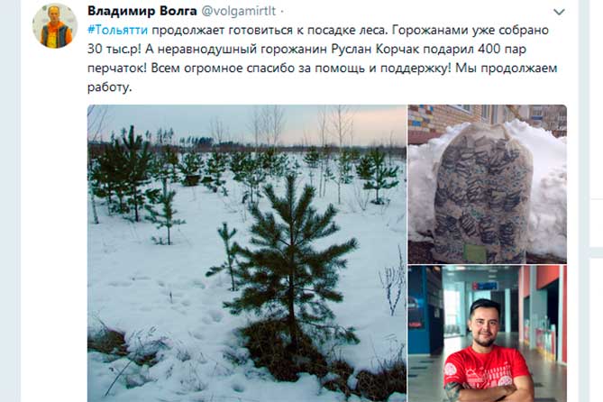 Количество истинных сторонников леса в Тольятти составит те же 300-400 человек