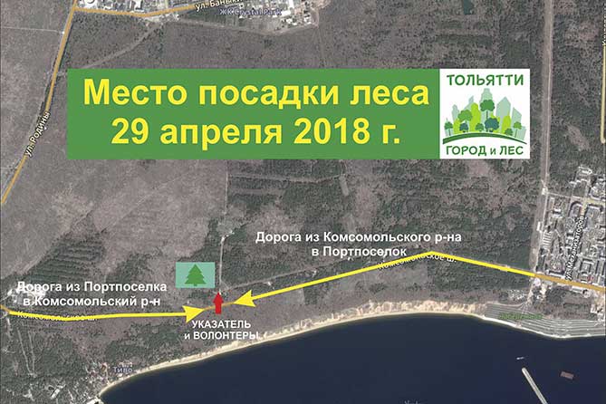 Тольяттинцев приглашают на посадку леса 29 апреля 2018 года