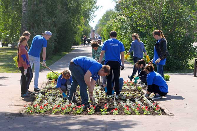 студенты ТГУ сажают цветы на клумбе в мае