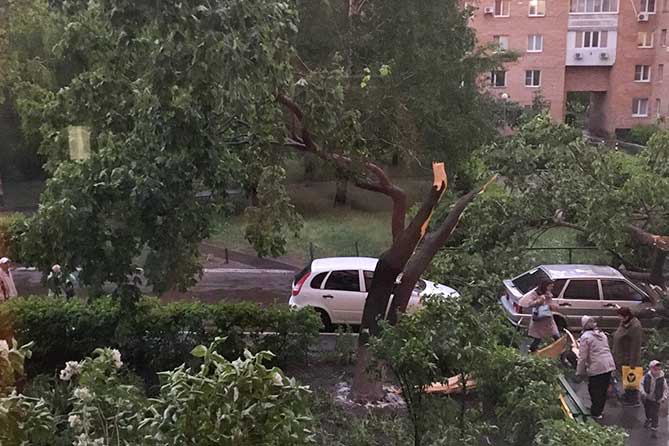 ветка дерева упала на машину 30 мая 2018 года