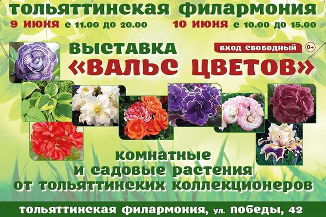 Выставка комнатных и садовых растений 9 и 10 июня 2018 года в Тольятти