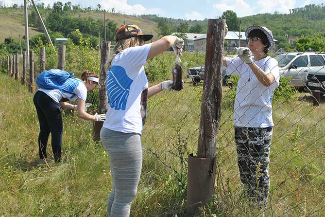 волонтеры красят деревянные столбы