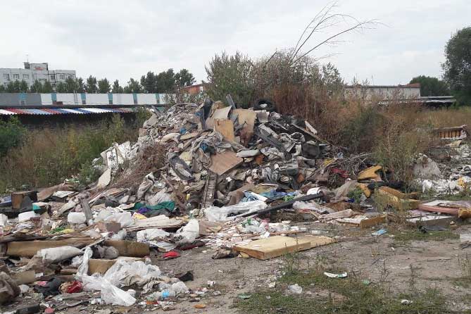 Несанкционированные свалки: Жителей просят сообщать о фактах сброса отходов