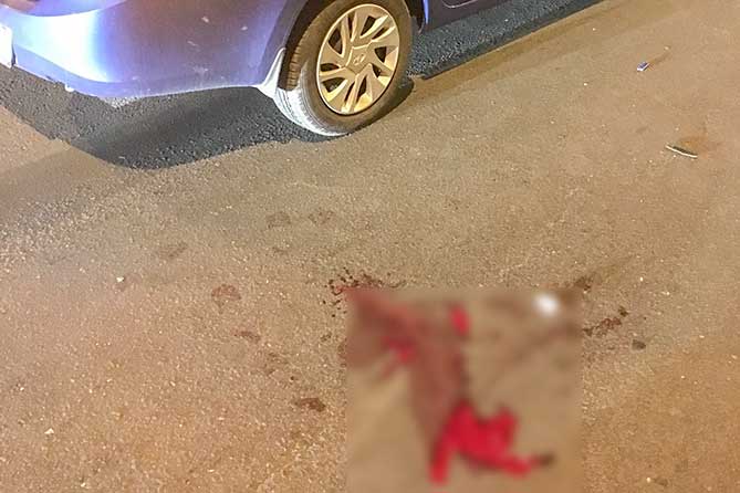 кровь около автомобиля