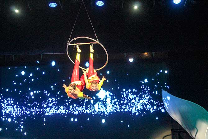 воздушные гимнастки на обруче в честь 30-летия цирковой студии ДКИТ