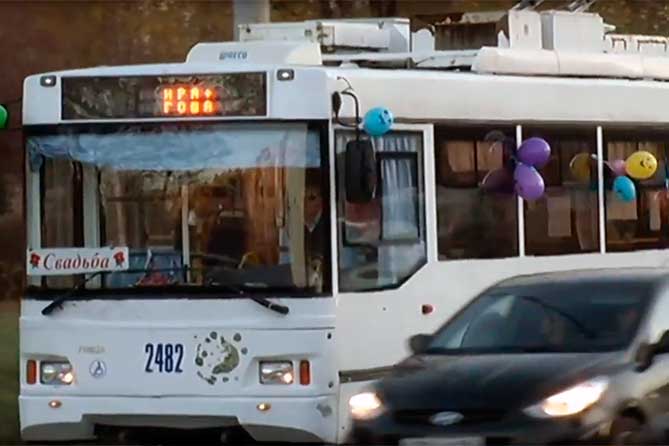 Молодожены в Тольятти отпраздновали свадьбу в троллейбусе