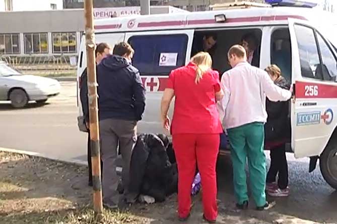 Тяжкий вред здоровью: В Тольятти возбуждено уголовное дело в отношении 27 летнего водителя