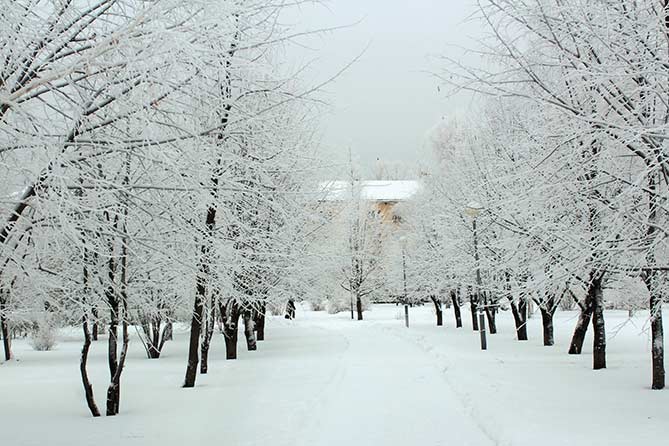 Аномально-холодная погода в Самарской области с 7 по 11 января 2019 года