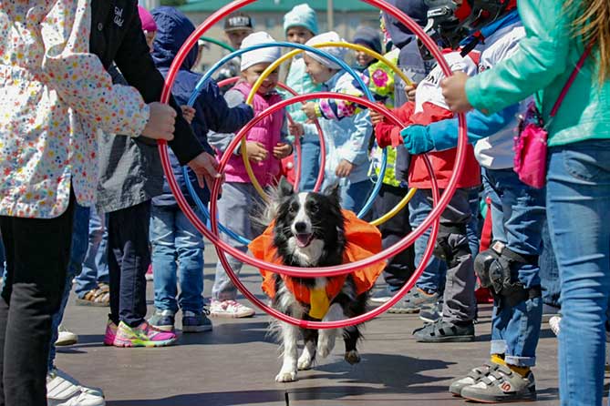 Весна детям 2019: Семейный фестиваль в Тольятти 18 мая 2019 года
