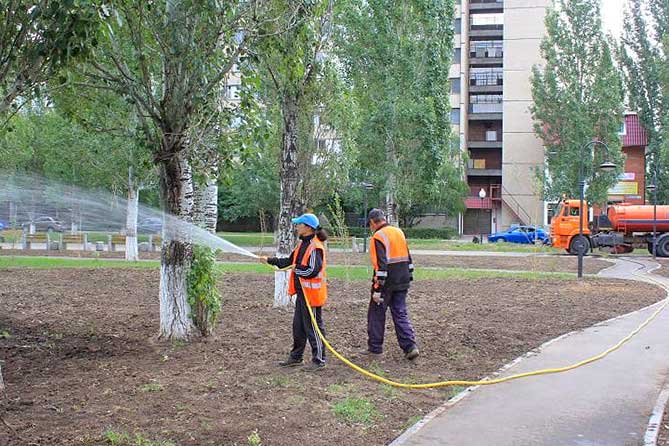 В Тольятти на бульваре Гая приступили к восстановлению озеленения