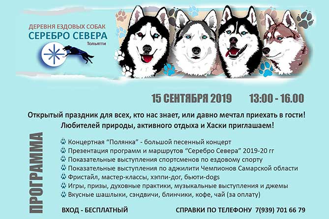 Деревня ездовых собак «Серебро Севера» приглашает жителей Тольятти на день открытых дверей 15 сентября 2019 года