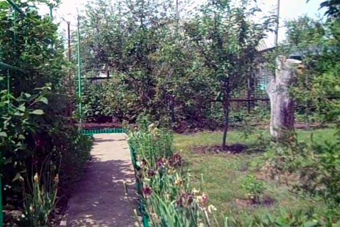 В Жигулевске 33-летняя женщина закопала на даче: Ей грозит до 20 лет лишения свободы