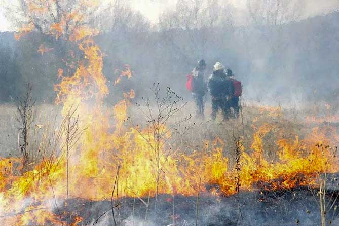 Дмитрий Азаров поручил усилить работу по поиску и наказанию поджигателей леса