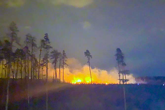 Пожар в лесу в районе Портпоселка в Тольятти ликвидирован 6 октября 2019 года