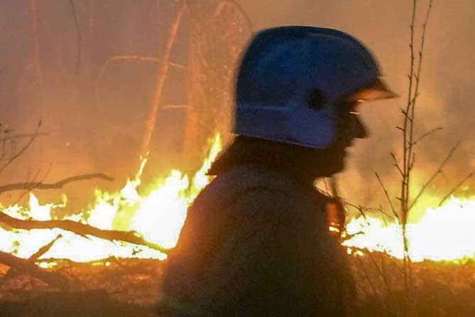 Уточненная информация МЧС о пожаре в лесу Тольятти 6 октября 2019 года